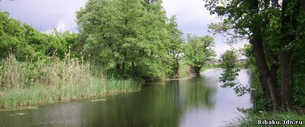 Рыбалка на реке Брусятка в Березинском районе